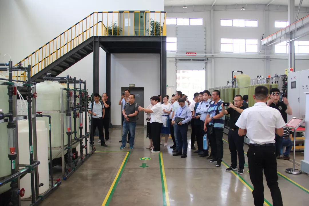 1566354766798826.jpg 6.jpg